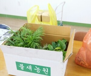 삼성카드 프로포절 