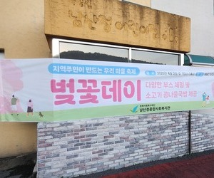 250402-벚꽃데