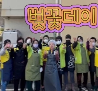 벚꽃데이 행사